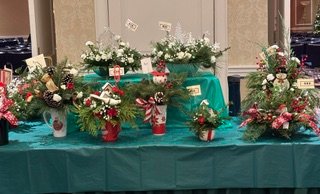 IMG_1773