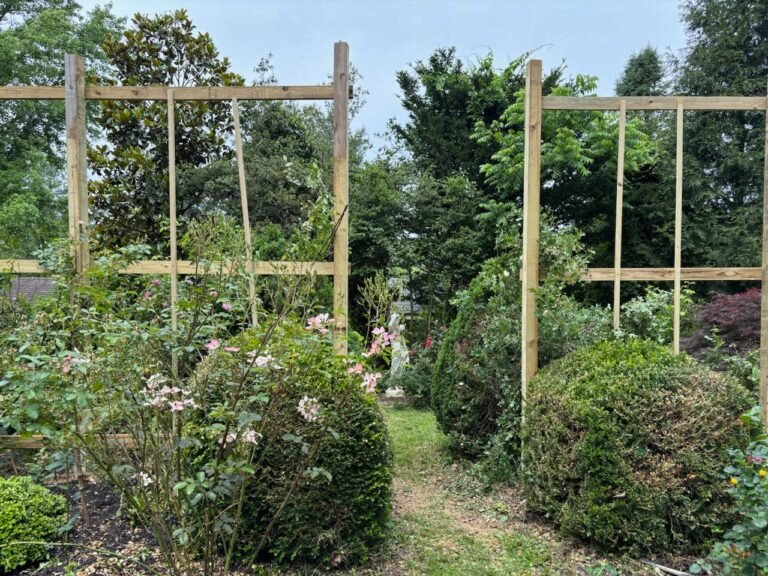 2025 Rose Society Garden Tour