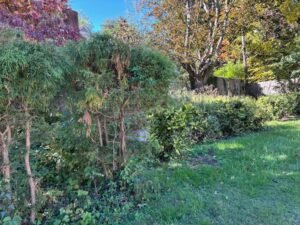 IMG-1585